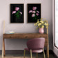 Framed dark botanical prints of Hydrangea 'Pink Annabelle' photographed on a black background and hung on a pink wall.