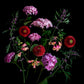 HYDRANGEAS AND FOXGLOVES