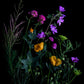 BEACH GARDEN LIMITED EDITION BOTANICAL PRINT