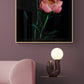 Peony ' Coral Charm'  photographed on a black background, framed on a pink wall.