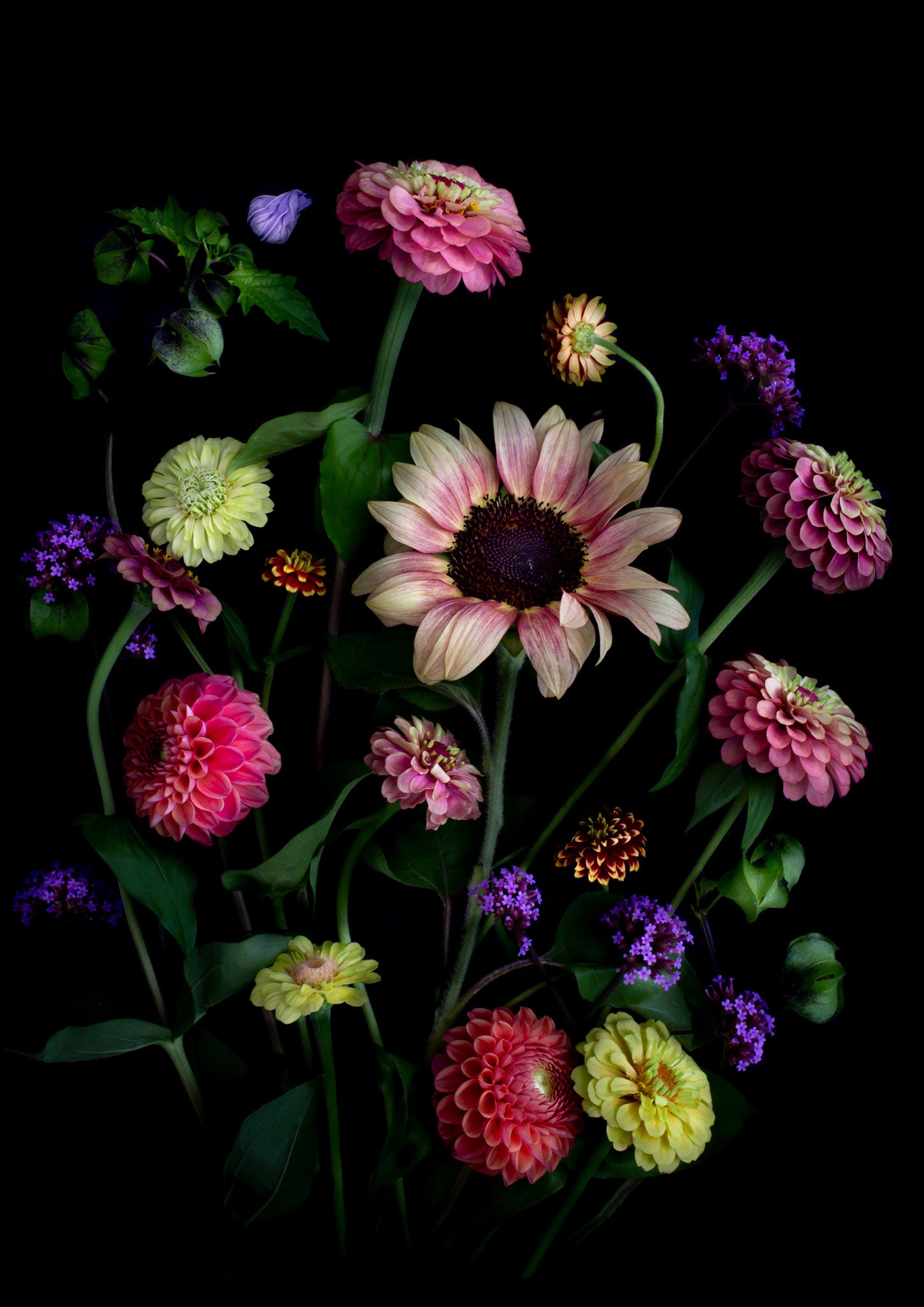 OPEN EDITION BOTANICAL ART PRINTS